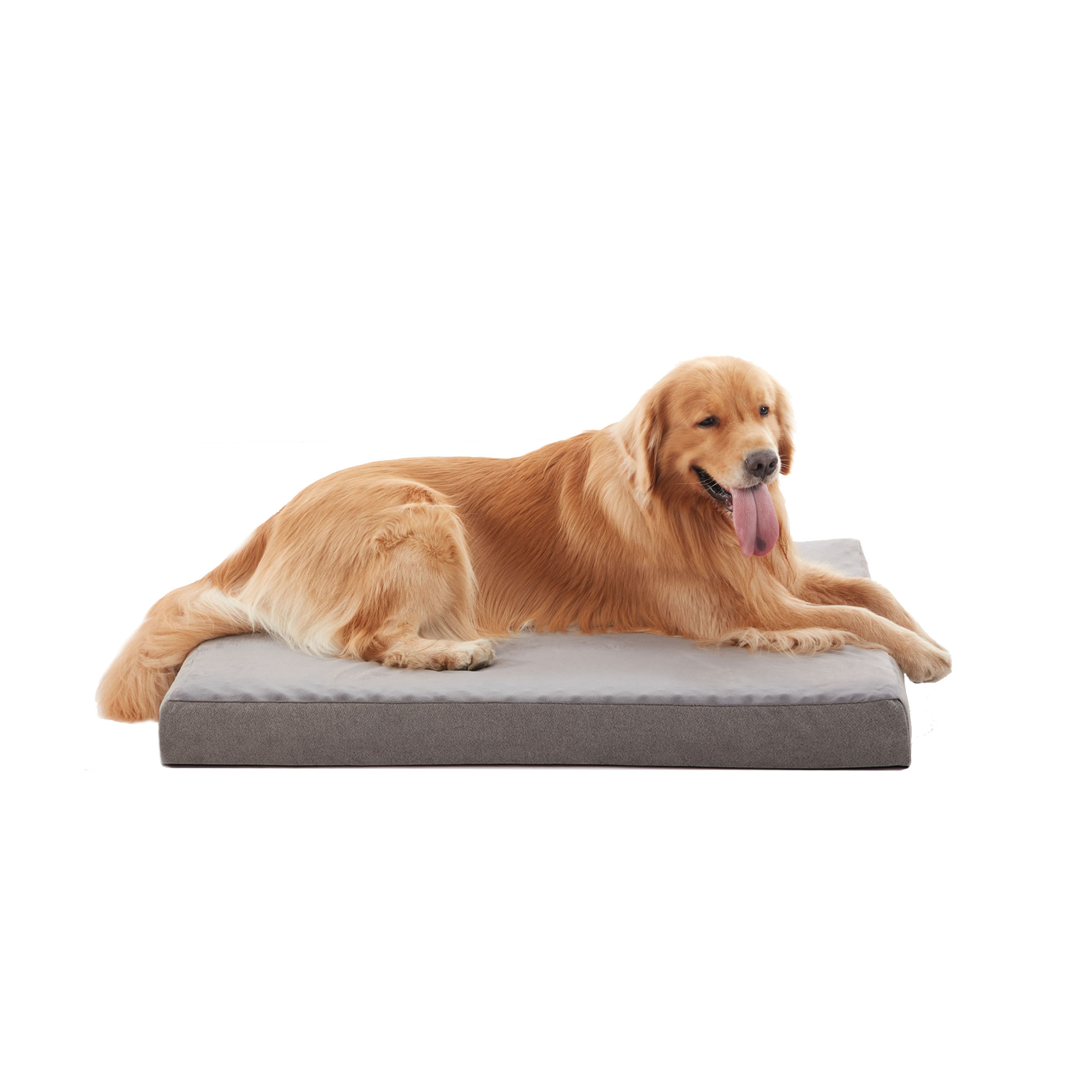 Tucker Murphy Pet Orthopedic Memory Foam Large Dog Bed Cooling XL Dog Beds Waterproof Pet Beds For Crate With Removable Washable Cover Reviews Wayfair